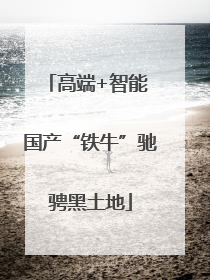 高端+智能 国产“铁牛”驰骋黑土地