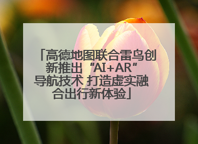 高德地图联合雷鸟创新推出“AI+AR”导航技术 打造虚实融合出行新体验