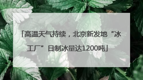 高温天气持续，北京新发地“冰工厂”日制冰量达1200吨