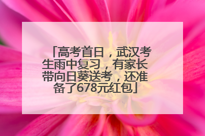 高考首日，武汉考生雨中复习，有家长带向日葵送考，还准备了678元红包
