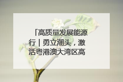 高质量发展能源行｜勇立潮头，激活粤港澳大湾区高质量发展动力源