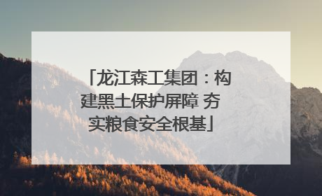 龙江森工集团：构建黑土保护屏障 夯实粮食安全根基