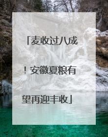 麦收过八成！安徽夏粮有望再迎丰收