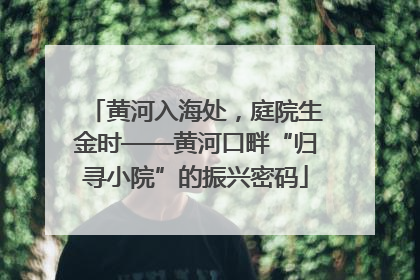 黄河入海处，庭院生金时——黄河口畔“归寻小院”的振兴密码