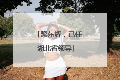 黎东辉，已任湖北省领导