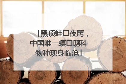 黑顶蛙口夜鹰，中国唯一蟆口鸱科物种现身临沧