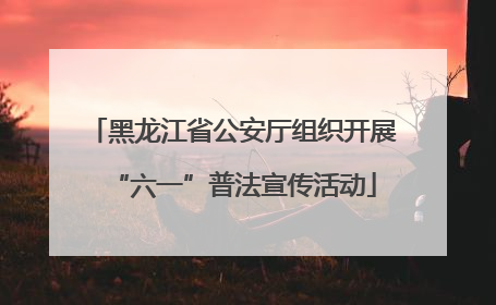 黑龙江省公安厅组织开展“六一”普法宣传活动