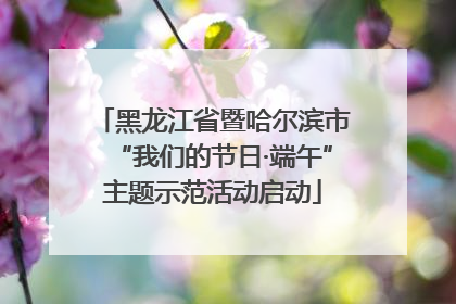 黑龙江省暨哈尔滨市“我们的节日·端午”主题示范活动启动