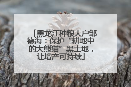 黑龙江种粮大户邹德海：保护“耕地中的大熊猫”黑土地，让增产可持续