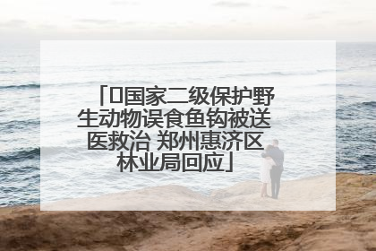 ﻿国家二级保护野生动物误食鱼钩被送医救治 郑州惠济区林业局回应