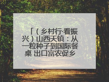 （乡村行·看振兴）山西天镇：从一粒种子到国际餐桌 出口富农促乡村振兴