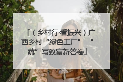 （乡村行·看振兴）广西乡村“绿色工厂” “蔬”写致富新答卷