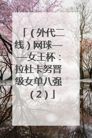 （外代二线）网球——女王杯：拉杜卡努晋级女单八强（2）