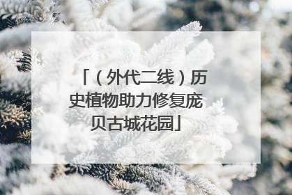 （外代二线）历史植物助力修复庞贝古城花园