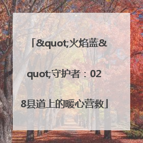 "火焰蓝"守护者：028县道上的暖心营救