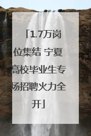 1.7万岗位集结 宁夏高校毕业生专场招聘火力全开