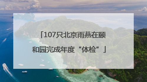 107只北京雨燕在颐和园完成年度“体检”