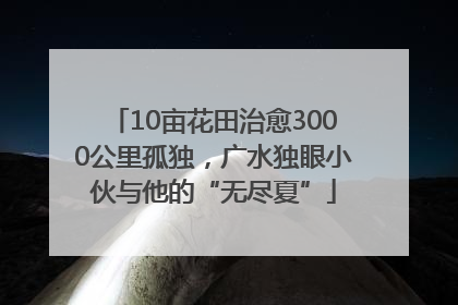 10亩花田治愈3000公里孤独，广水独眼小伙与他的“无尽夏”