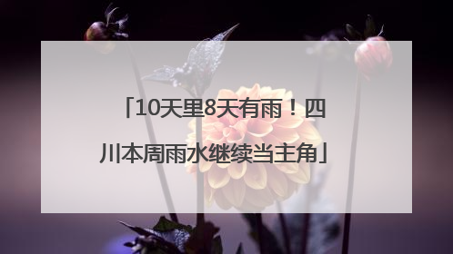 10天里8天有雨！四川本周雨水继续当主角