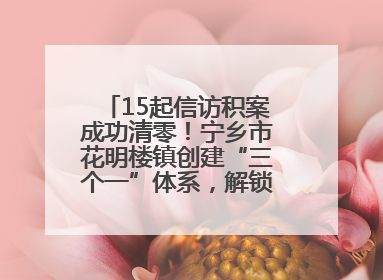 15起信访积案成功清零！宁乡市花明楼镇创建“三个一”体系，解锁基层治理新姿势