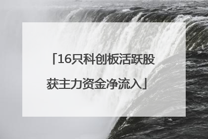 16只科创板活跃股获主力资金净流入