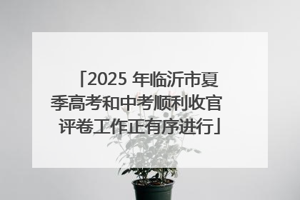 2025 年临沂市夏季高考和中考顺利收官 评卷工作正有序进行