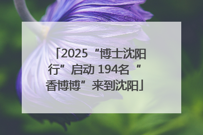2025“博士沈阳行”启动 194名“香博博”来到沈阳