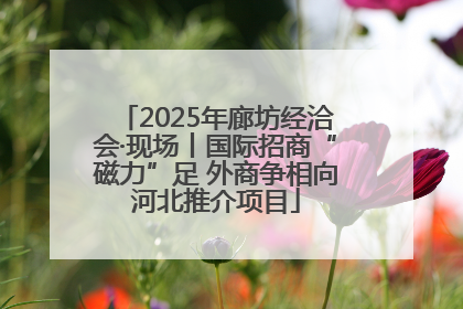 2025年廊坊经洽会·现场丨国际招商“磁力”足 外商争相向河北推介项目