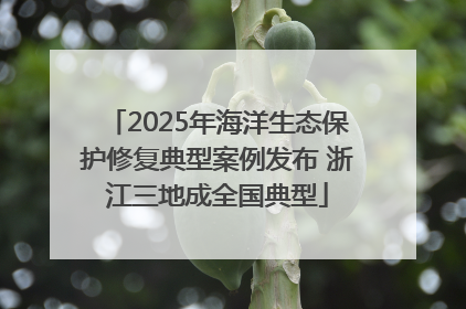 2025年海洋生态保护修复典型案例发布 浙江三地成全国典型