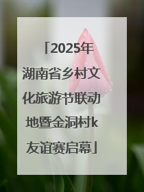 2025年湖南省乡村文化旅游节联动地暨金洞村k友谊赛启幕
