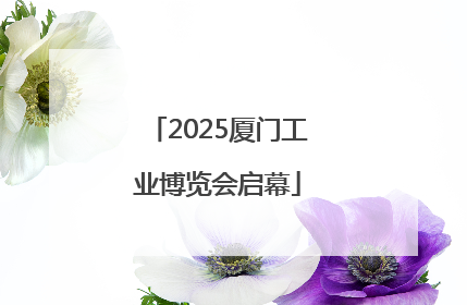 2025厦门工业博览会启幕