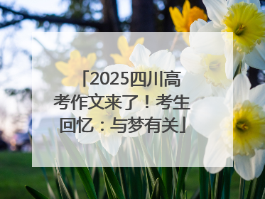 2025四川高考作文来了！考生回忆：与梦有关