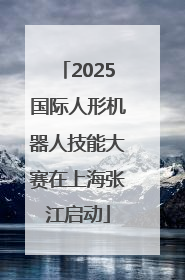 2025国际人形机器人技能大赛在上海张江启动