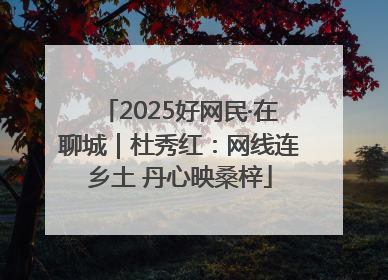 2025好网民·在聊城｜杜秀红：网线连乡土 丹心映桑梓