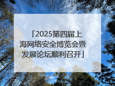 2025第四届上海网络安全博览会暨发展论坛顺利召开