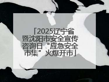 2025辽宁省暨沈阳市安全宣传咨询日“应急安全市集”火爆开市
