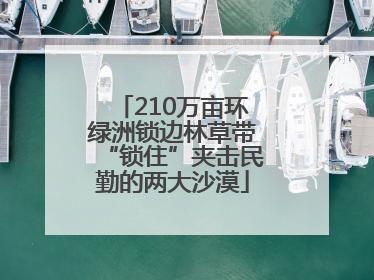 210万亩环绿洲锁边林草带“锁住”夹击民勤的两大沙漠