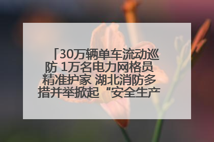 30万辆单车流动巡防 1万名电力网格员精准护家 湖北消防多措并举掀起“安全生产月”宣传热潮
