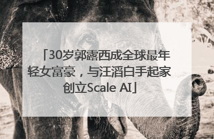 30岁郭露西成全球最年轻女富豪，与汪滔白手起家创立Scale AI