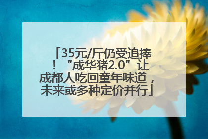 35元/斤仍受追捧！“成华猪2.0”让成都人吃回童年味道，未来或多种定价并行