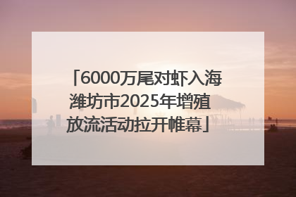 6000万尾对虾入海 潍坊市2025年增殖放流活动拉开帷幕