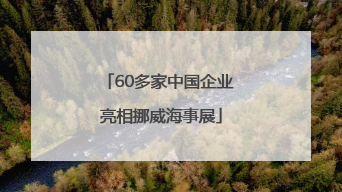 60多家中国企业亮相挪威海事展