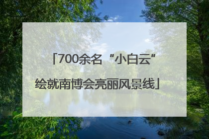 700余名“小白云”绘就南博会亮丽风景线