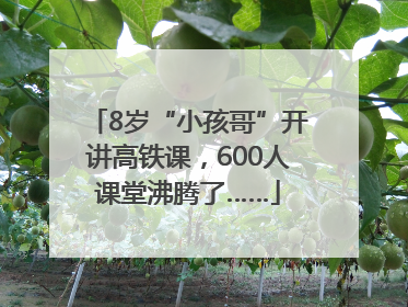 8岁“小孩哥”开讲高铁课，600人课堂沸腾了……