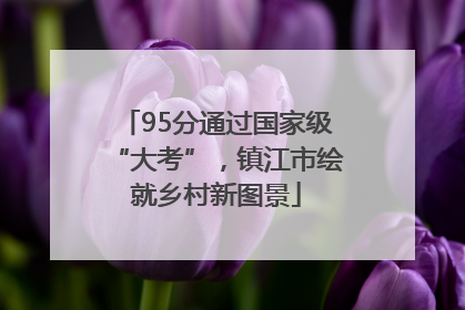 95分通过国家级“大考”，镇江市绘就乡村新图景