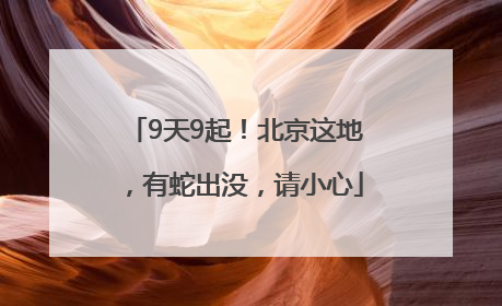 9天9起！北京这地，有蛇出没，请小心