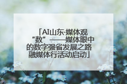 AI山东·媒体观“数”——媒体眼中的数字强省发展之路融媒体行活动启动