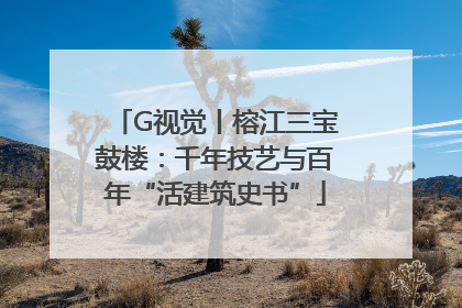 G视觉丨榕江三宝鼓楼：千年技艺与百年“活建筑史书”