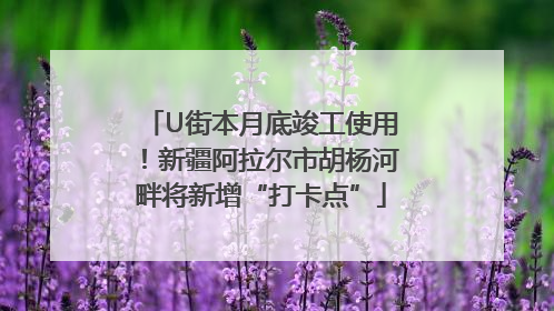 U街本月底竣工使用！新疆阿拉尔市胡杨河畔将新增“打卡点”