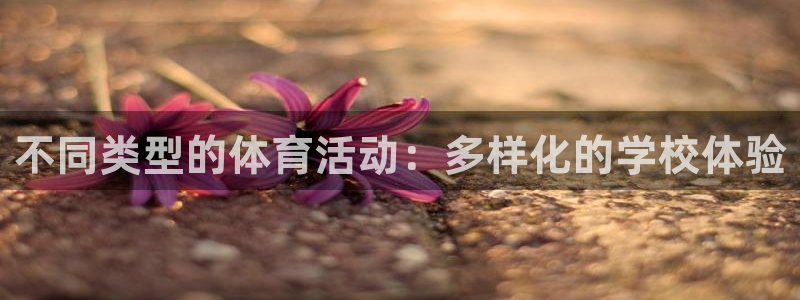 01体育直播：不同类型的体育活动：多样化的学校体验